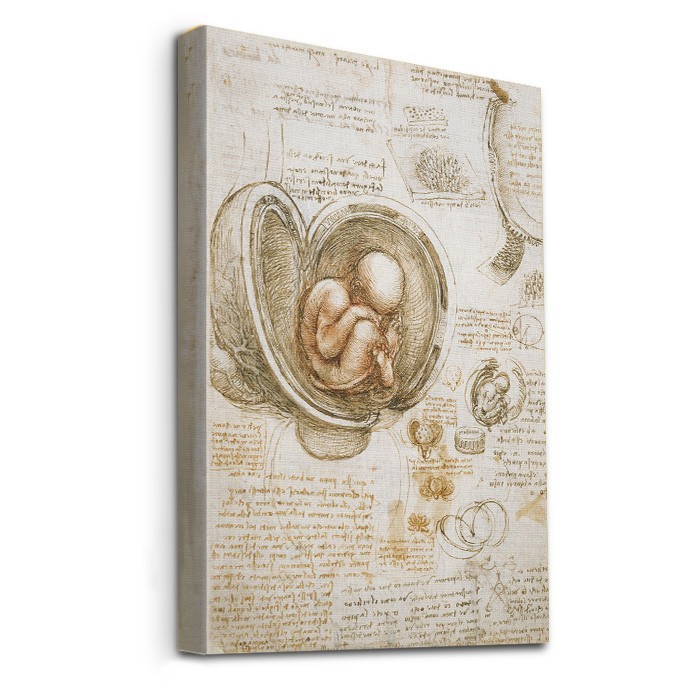 Πίνακας σε καμβά με τελάρο – Fetus in the Womb