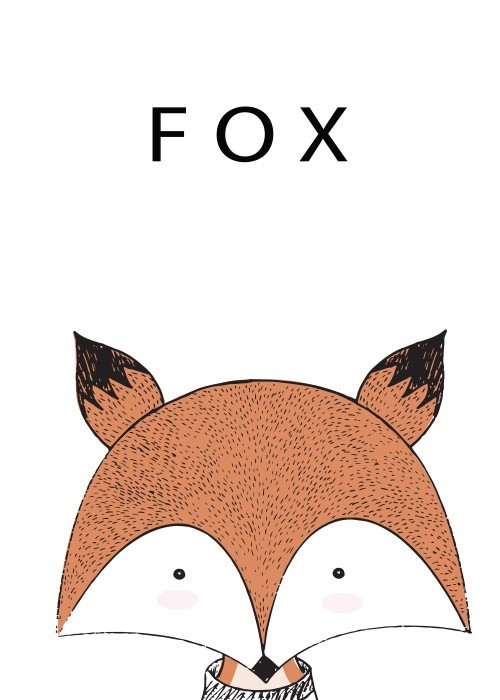 Αφίσα Poster Fox