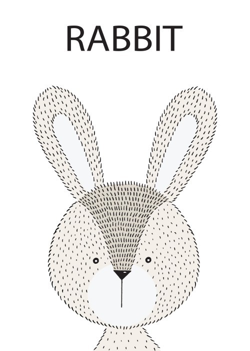 Αφίσα Poster Rabbit