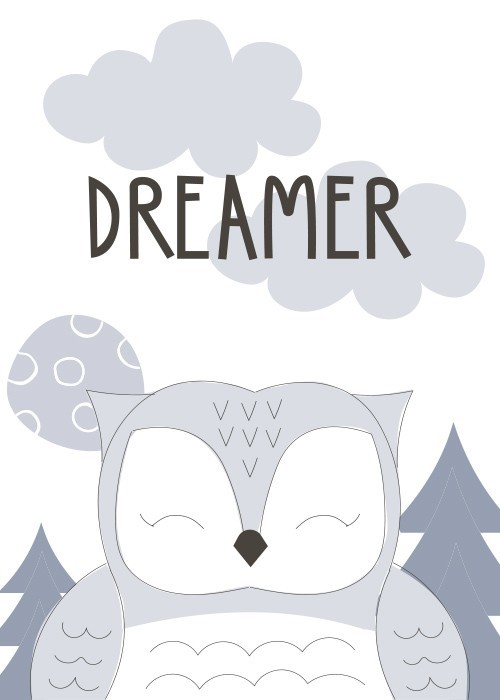Αφίσα Poster Owl dreamer