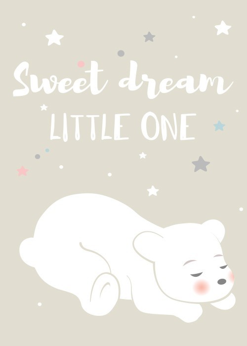 Αφίσα Poster Λευκό αρκουδάκι