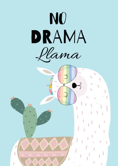 Αφίσα Poster No drama lamma