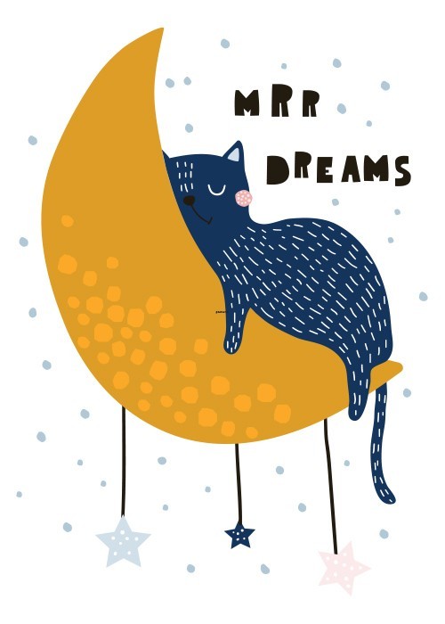 Αφίσα Poster Dreams cat