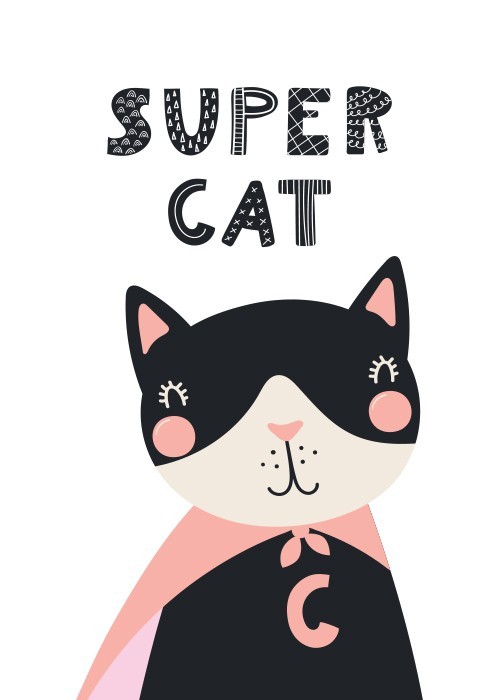 Αφίσα Poster Super cat