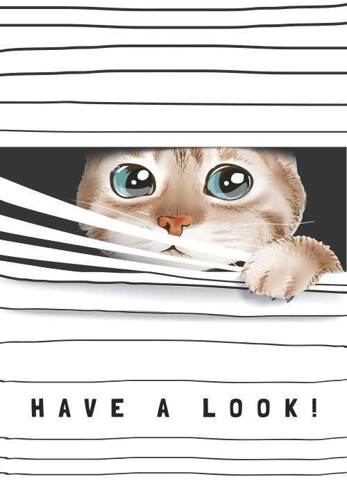 Αφίσα Poster Cat, have a look