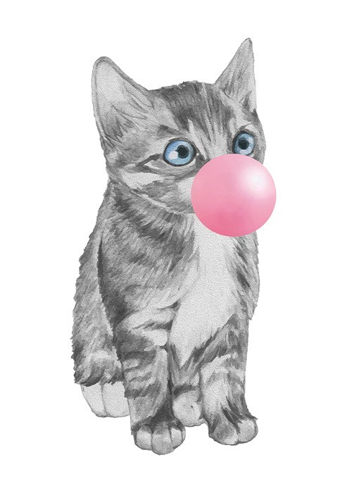 Αφίσα Poster Γκρι γατάκι με ροζ φούσκα