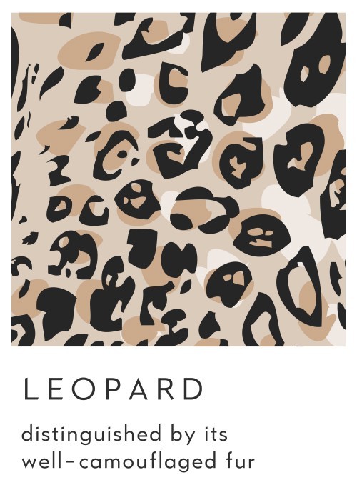  Αφίσα Poster Λεοπάρδαλη