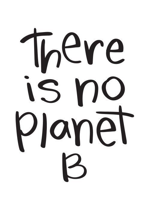 Αφίσα Poster There is no planet B