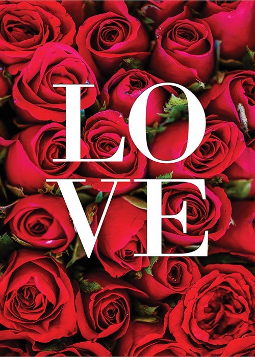 Αφίσα Poster Love roses