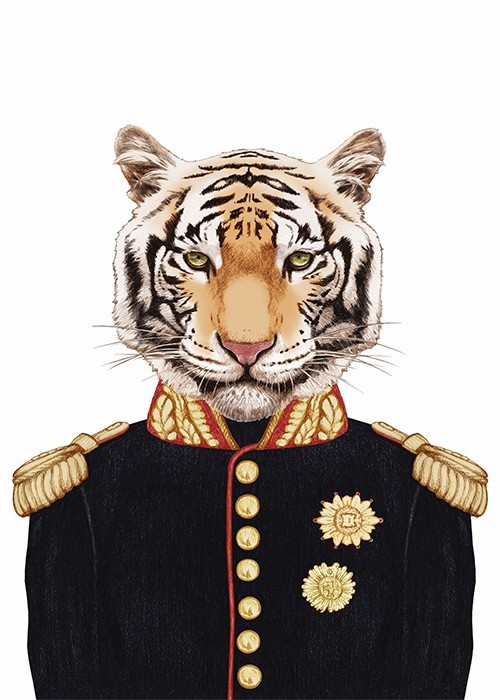Τίγρης στρατηγός