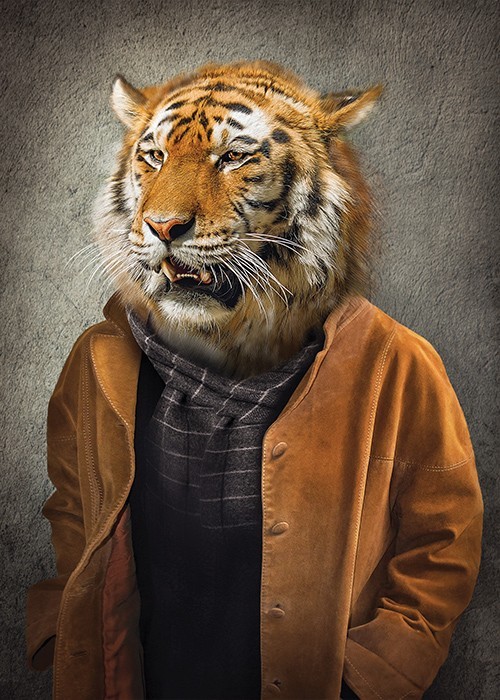 Τίγρης με καφέ μπουφάν