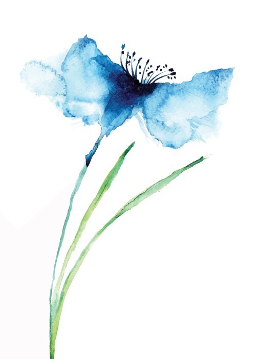  Αφίσα Poster Μπλε λουλούδι