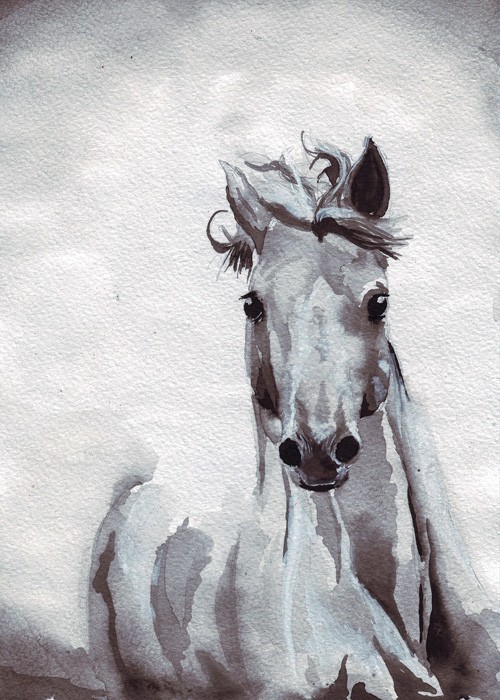  Αφίσα Poster Ζωγραφισμένο Άλογο
