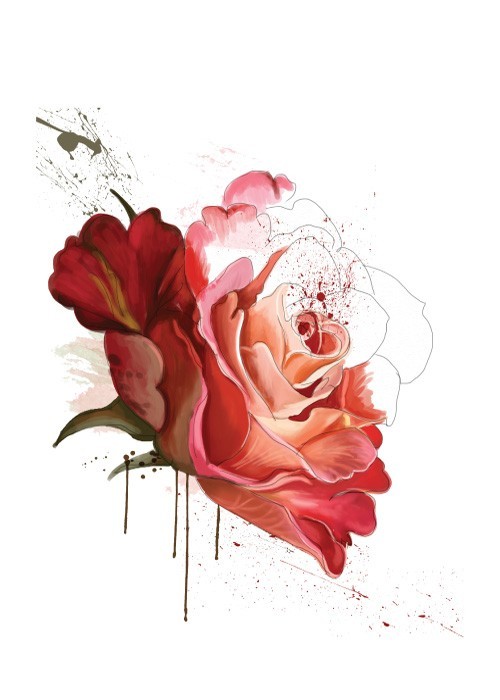  Αφίσα Poster Κόκκινο Τριαντάφυλλο