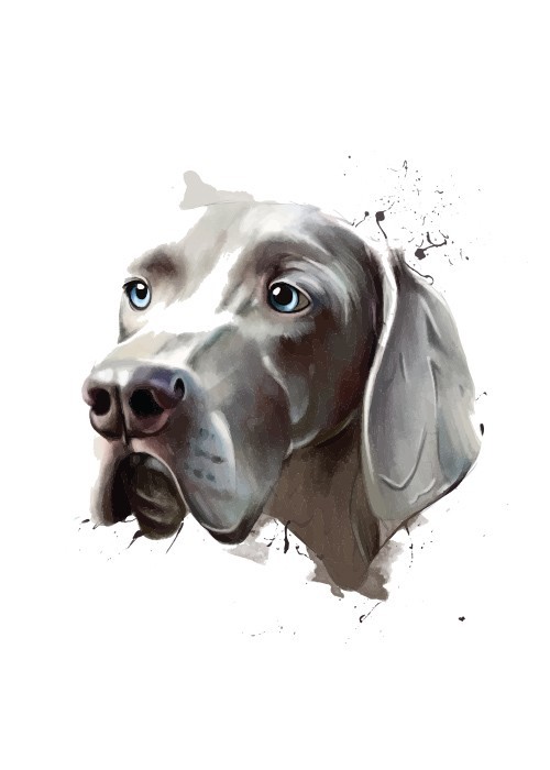  Αφίσα Poster Πορτρέτο Σκύλου