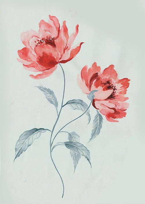  Αφίσα Poster Κόκκινο Λουλούδι