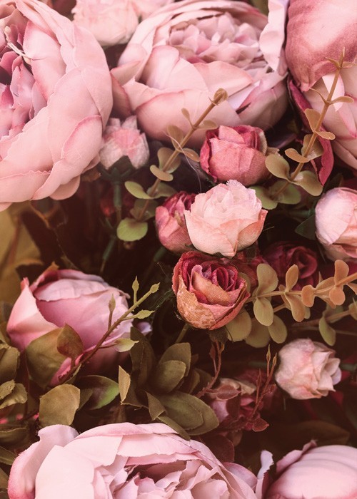 Αφίσα Poster Ροζ τριαντάφυλλα