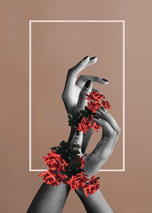  Αφίσα Poster Γυναικεία χέρια με κόκκινα τριαντάφυλλα