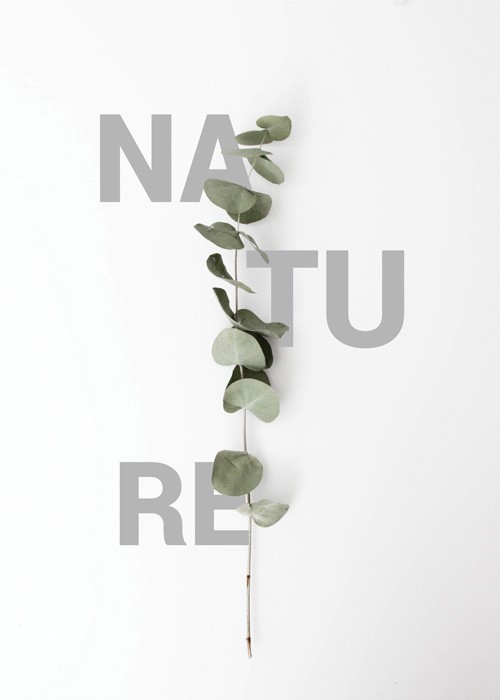  Αφίσα Poster Nature