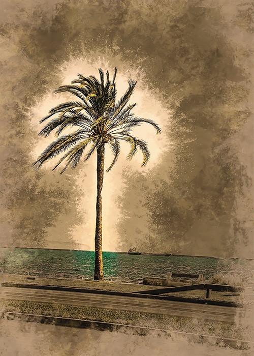 Αφίσα Poster Φοίνικας στην παραλία