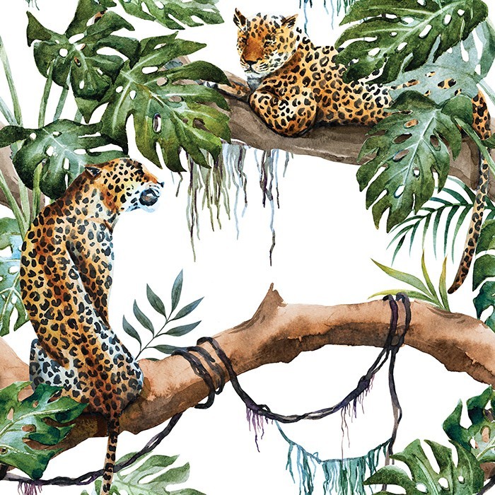 Αφίσα Poster Λεοπαρδάλεις στην ζούγκλα