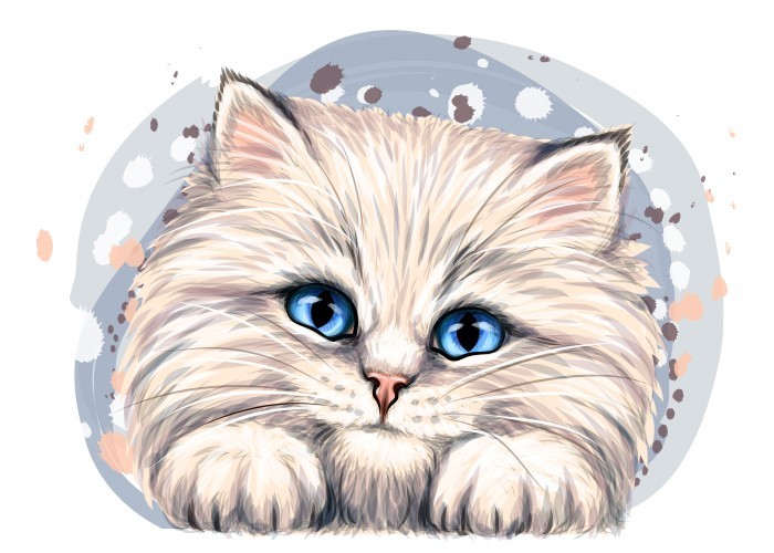 Αφίσα Poster Γάτα με γαλάζια μάτια