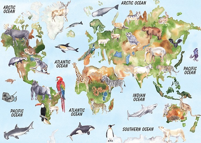Αφίσα Poster Πολύχρωμος χάρτης με ζώα