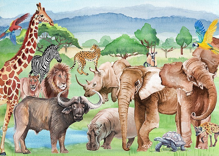 Αφίσα Poster Ζωολογικό πάρκο