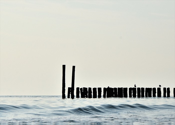 Αφίσα Poster Ξύλινοι πάσσαλοι στην θάλασσα
