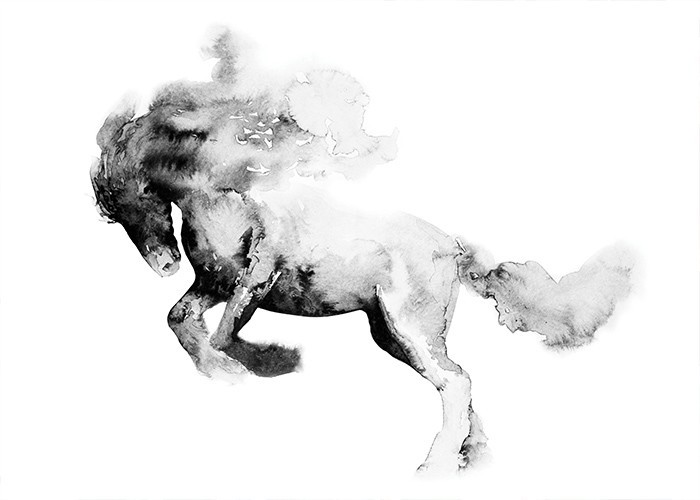  Αφίσα Poster Άλογο που καλπάζει