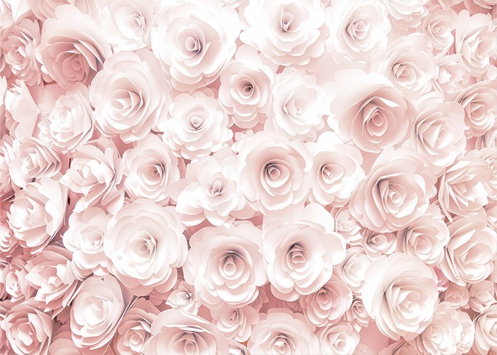 Αφίσα Poster Ροζ τριαντάφυλλα