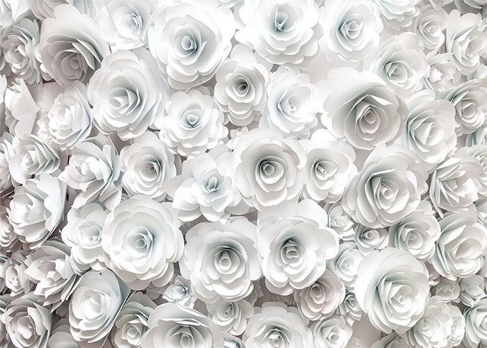 Αφίσα Poster Λευκά τριαντάφυλλα