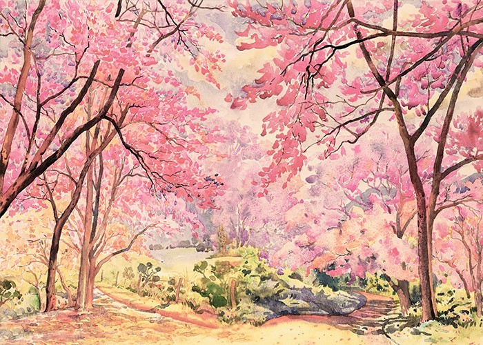 Αφίσα Poster Δάσος με ροζ φυλλοβόλα δέντρα