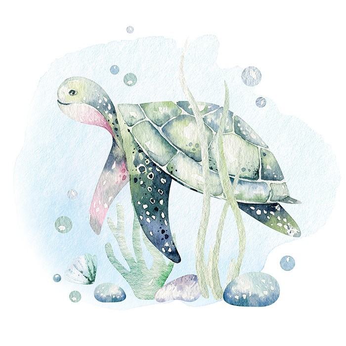 Αφίσα Poster Θαλάσσια χελώνα