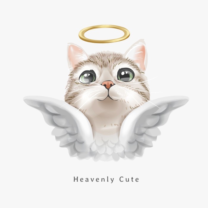Αφίσα Poster Αγγελικό γατάκι 