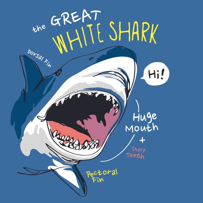 Αφίσα Poster White shark