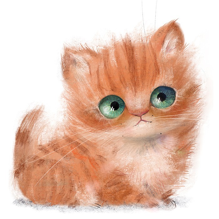 Αφίσα Poster Πορτοκαλί γατάκι