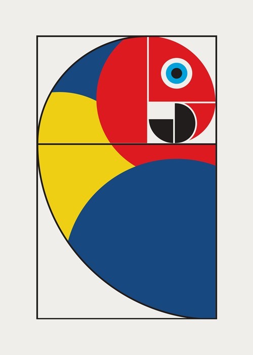 Αφίσα Poster Fibonacci parrot