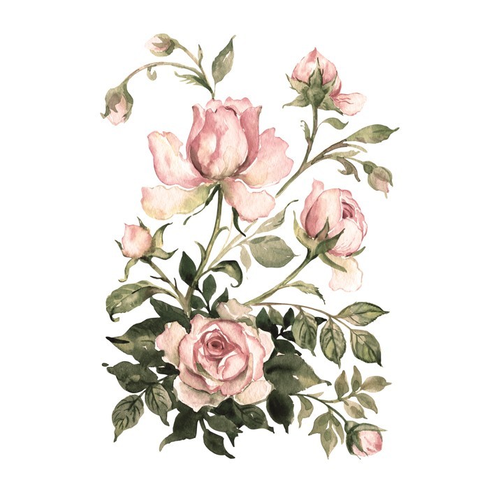 Αφίσα Poster Ζωγραφισμένα τριαντάφυλλα