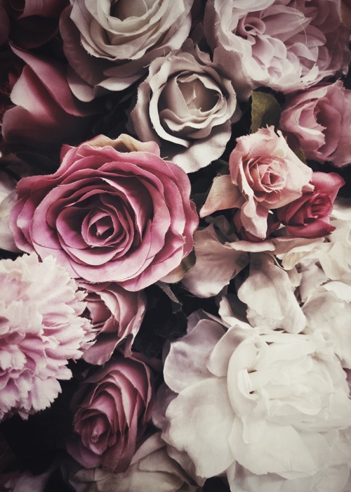 Αφίσα Poster Ροζ και λευκά τριαντάφυλλα