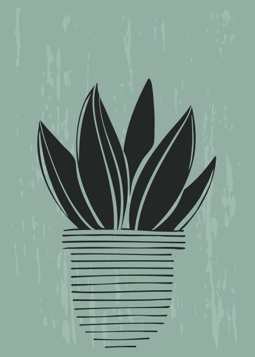  Αφίσα Poster Φυτό με μαύρα φύλλα