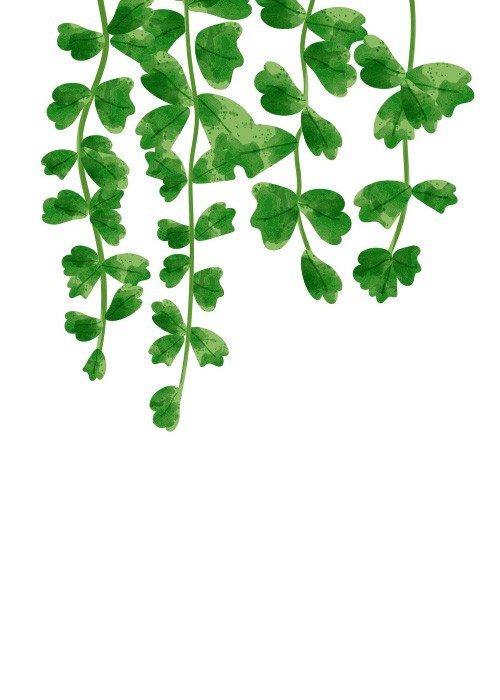  Αφίσα Poster Πράσινα κρεμαστά φύλλα