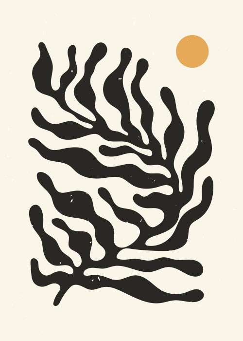  Αφίσα Poster Abstract μαύρο φυτό