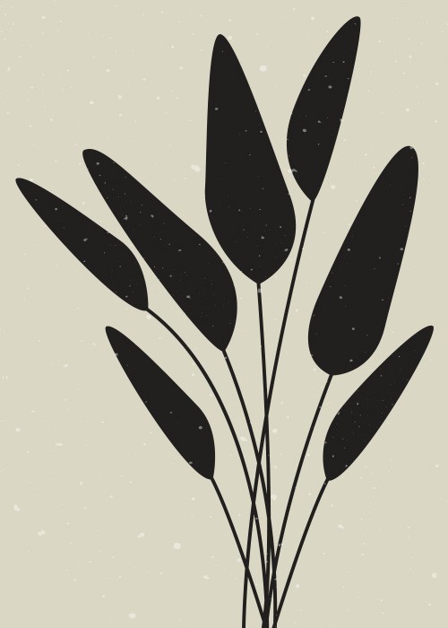 Αφίσα Poster Μαύρα φυτά