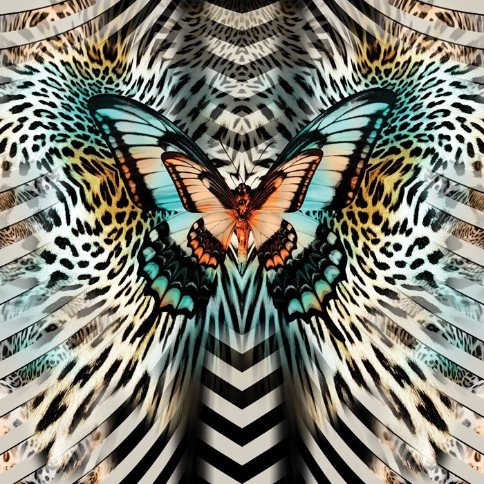 Αφίσα Poster Πολύχρωμη πεταλούδα
