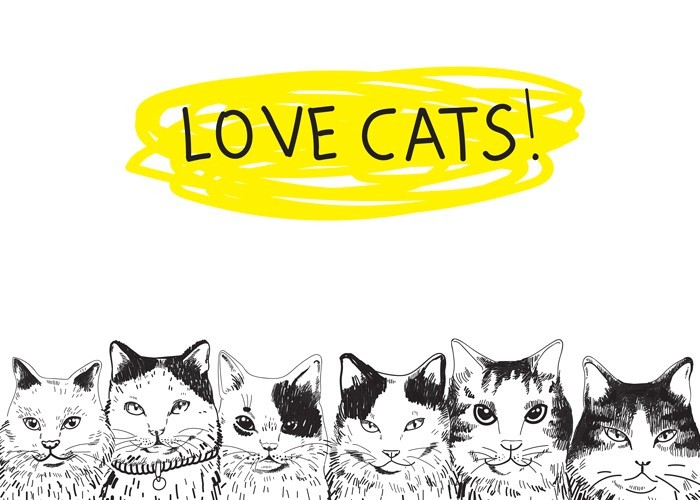 Αφίσα Poster Ασπρόμαυρα σκίτσα με γάτες