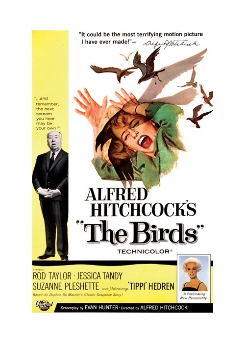 Αφίσα - Poster The Birds, 1963