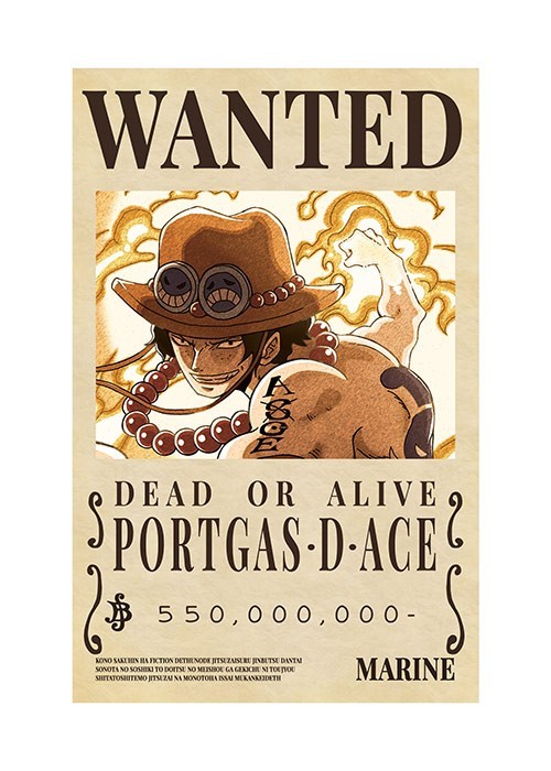 Αφίσα Poster Portgas D Ace