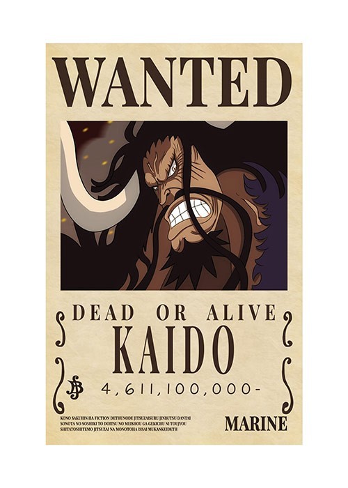 Αφίσα Poster Kaido