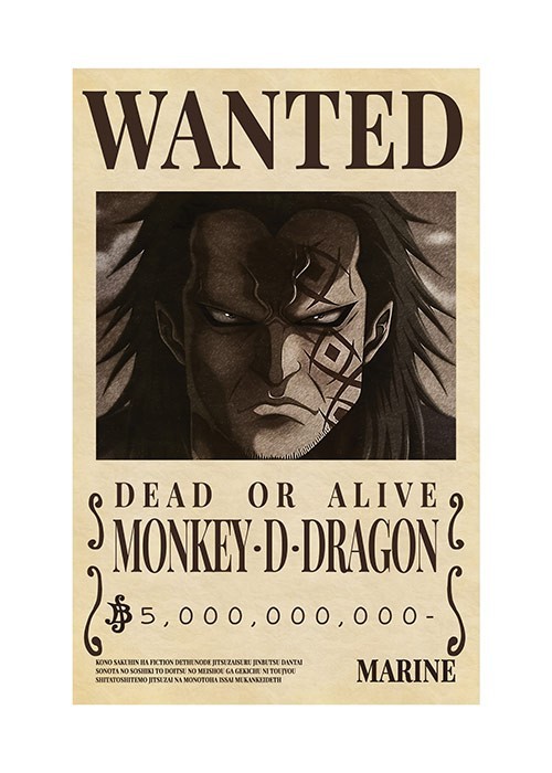 Αφίσα Poster Monkey D. Dragon